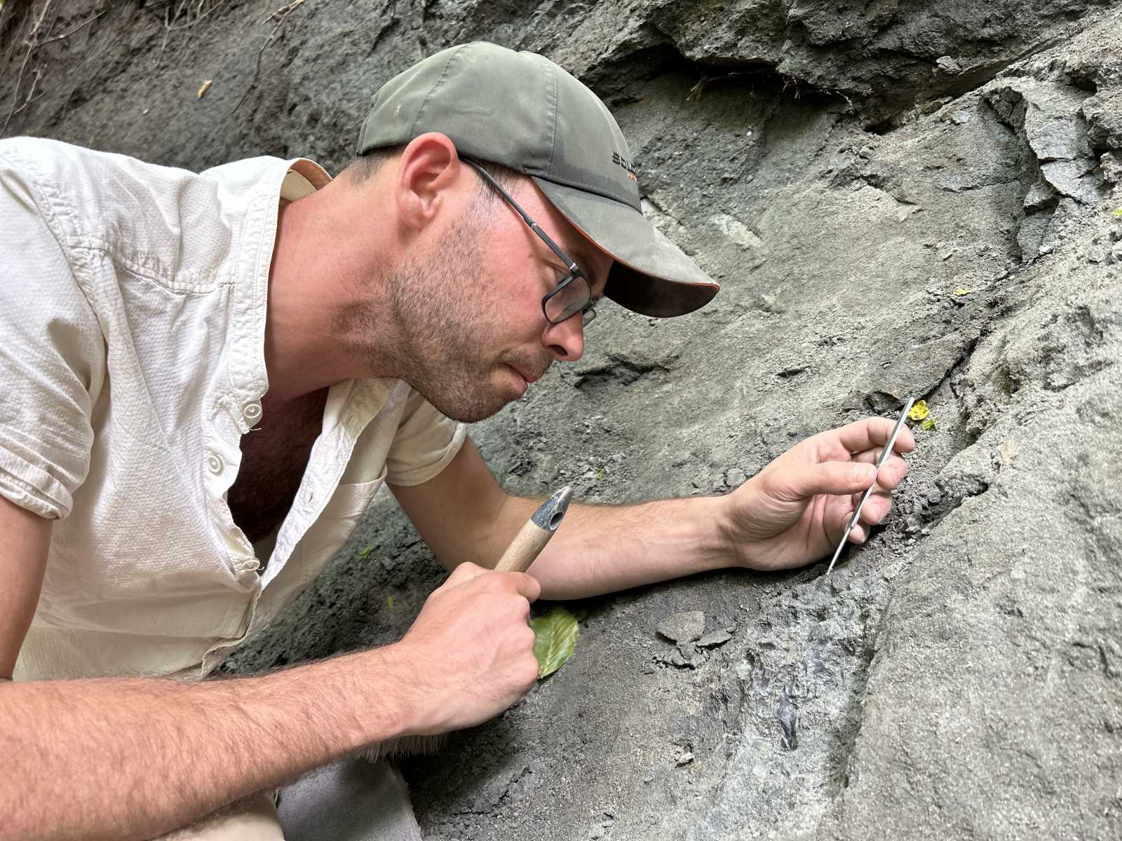 A kutatócsoport vezetője: Dr. Botfalvai Gábor