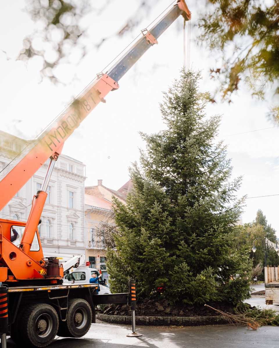Élő fenyőt állítottak a virágóra helyére | Fotó: Soós Zoltán polgármester Facebook oldala