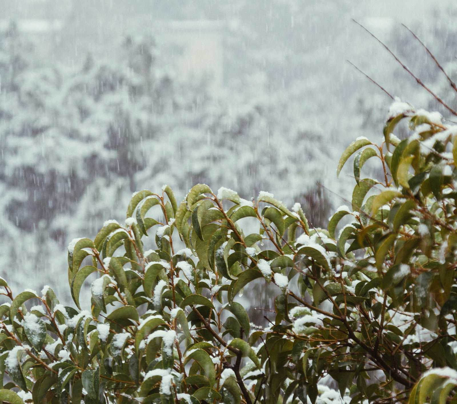 Vasárnaptól jön a havazás | Fotó: Pexels