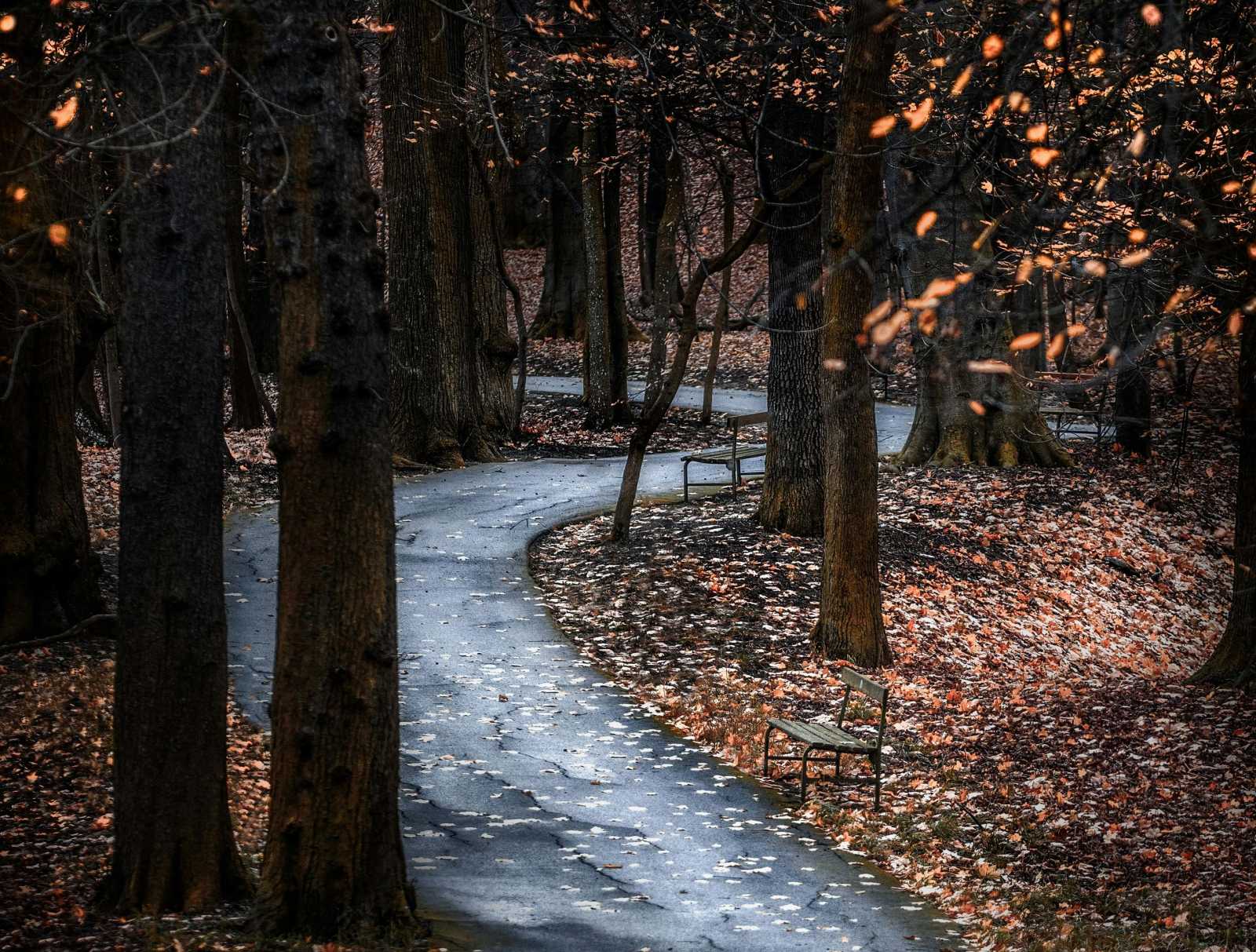 Hullámzó időjárás. | Fotó: Pexels