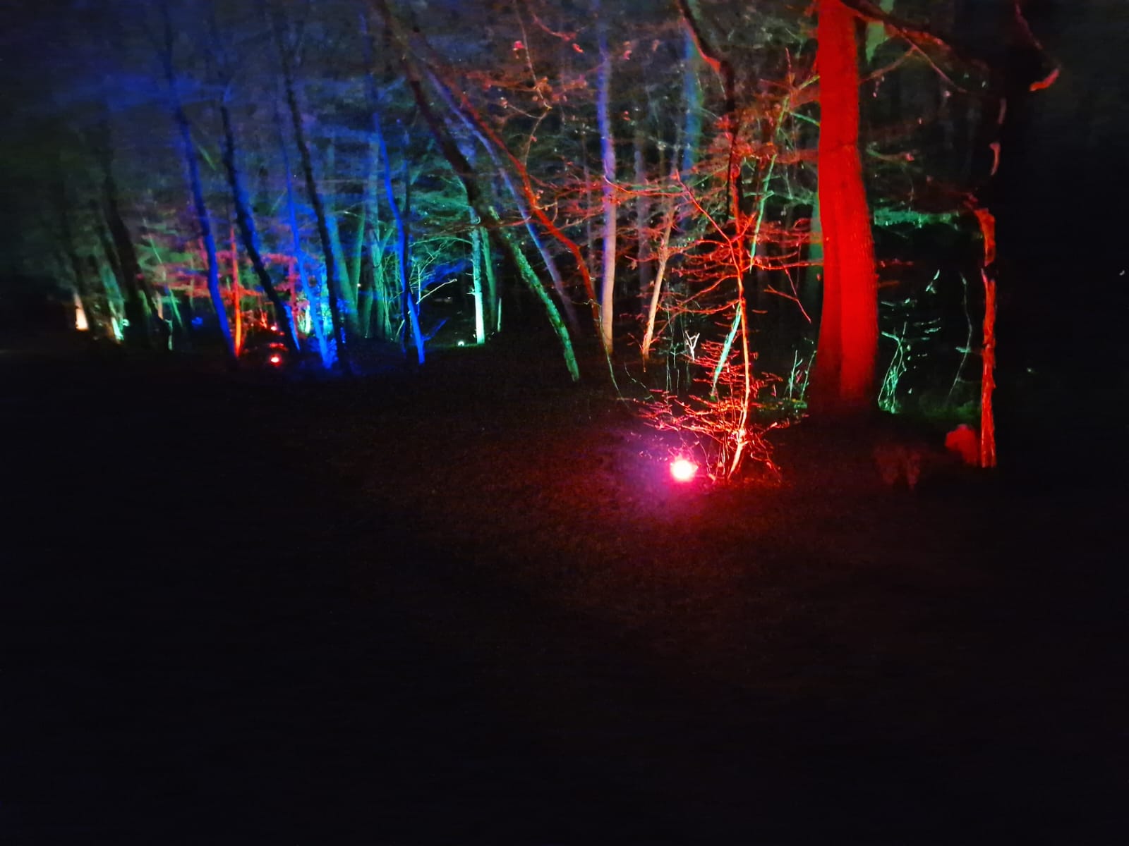 Fényösvény a marosvásárhelyi állatkertben | Fotó: az intézmény Facebook oldala