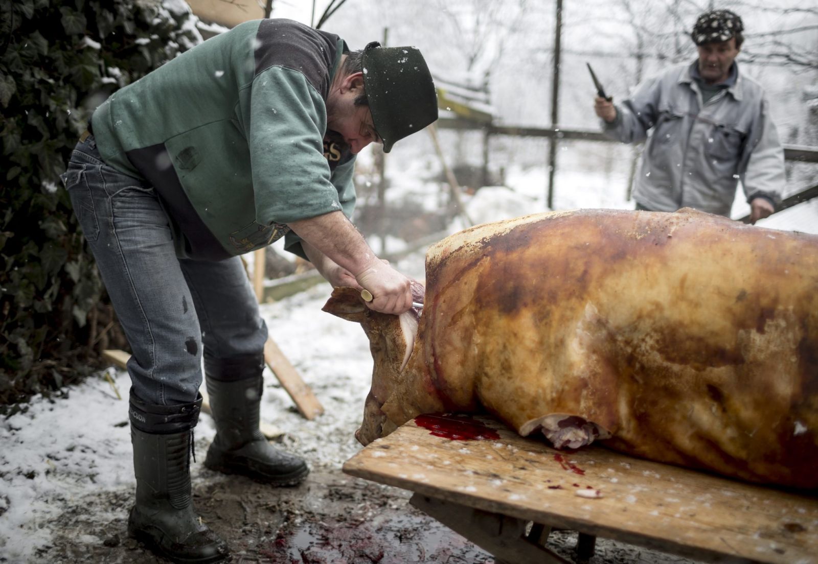 A szakemberek tanácsa szerint a húsmintát a rekeszizomból érdemes venni | Illusztráció: MTI (archív)