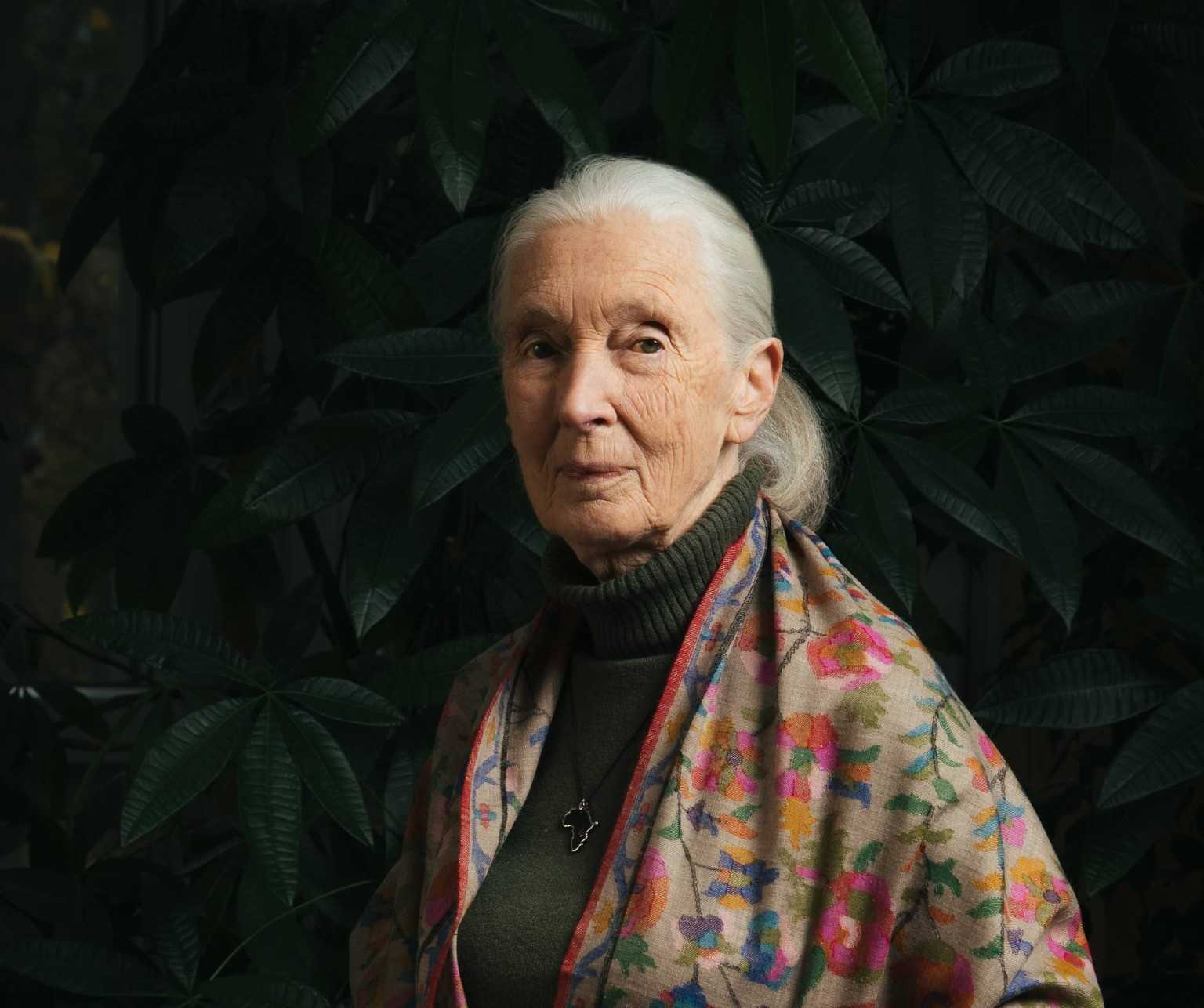 A természet világa megóvásának és helyreállításának fáradhatatlan védelmezője volt | Fotó: Jane Goodall Intézet Facebook oldala