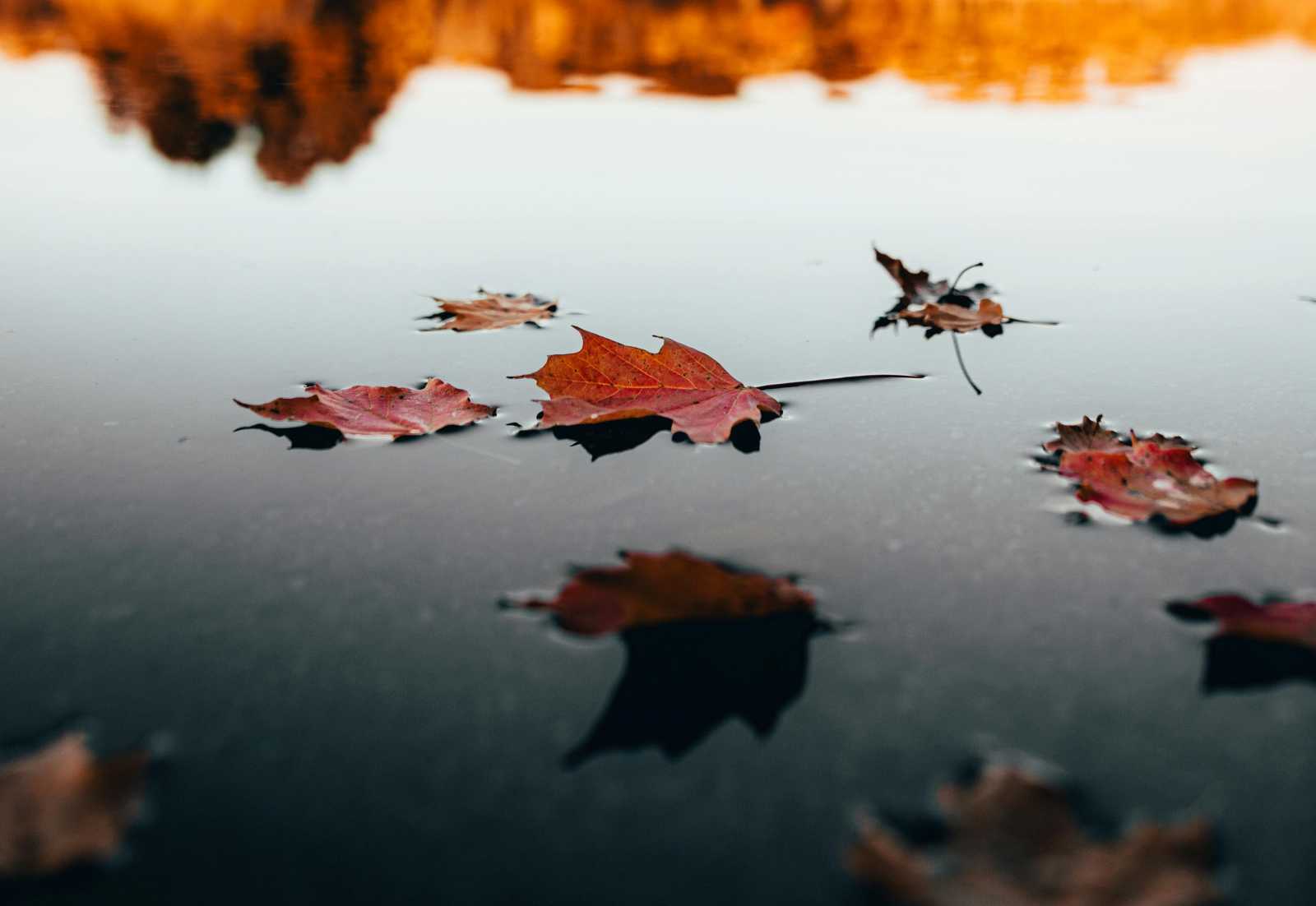 Hideg is, eső is lesz. | Fotó: Pexels