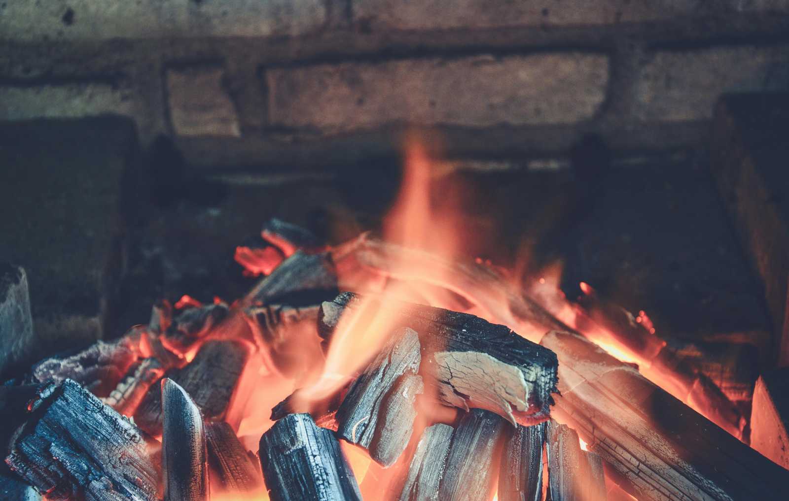 Brutális kegyetlenséggel ölte meg a kiscicát | Fotó: Pexels