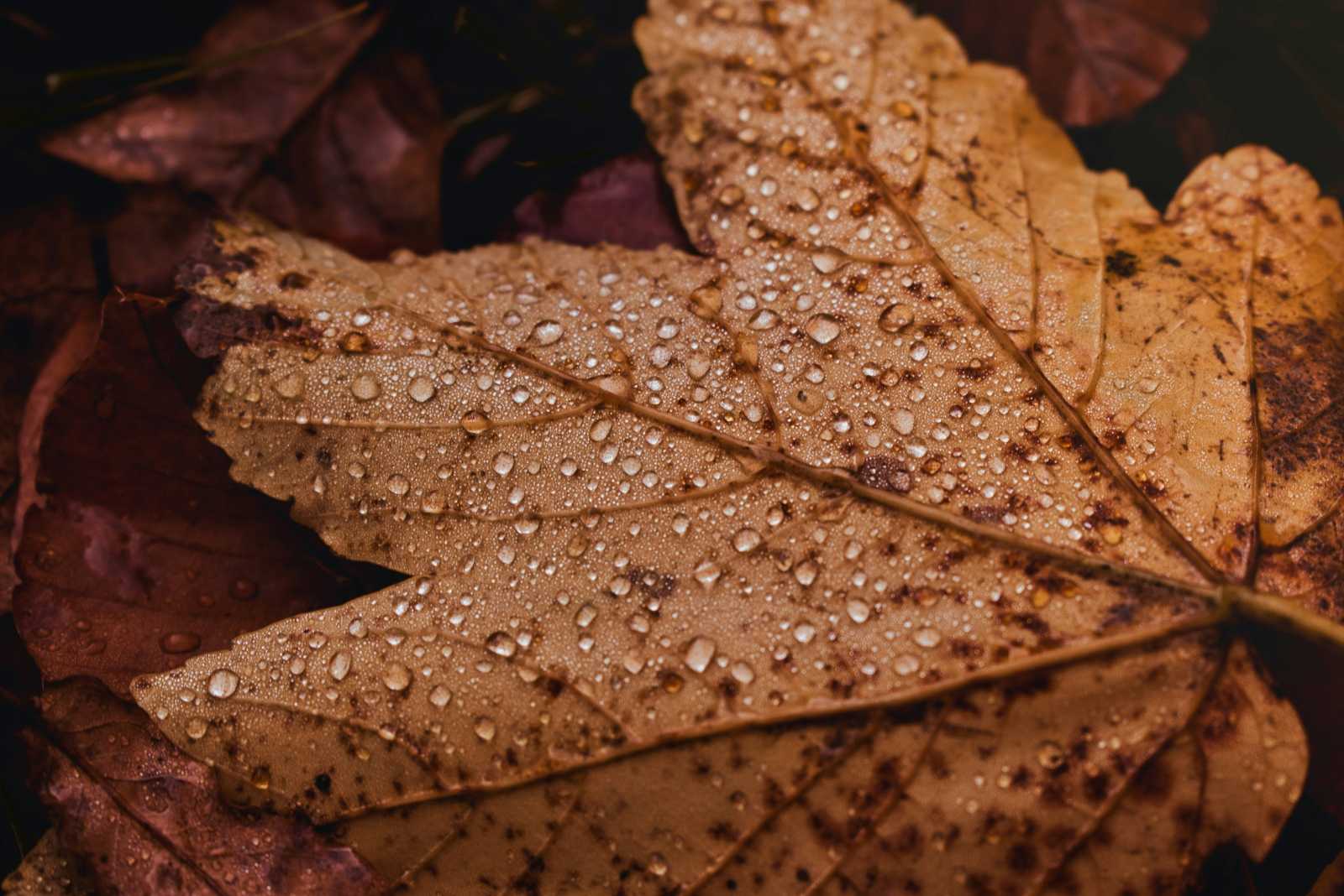 Nem ígérnek kellemes időt. | Fotó: Unsplash