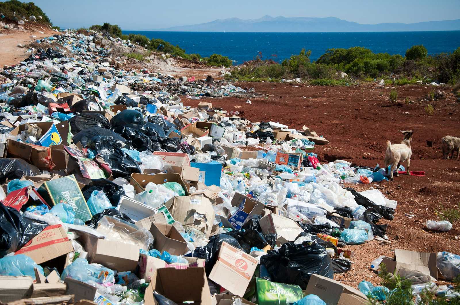 2013 és 2023 között a keletkező műanyag csomagolási hulladék mennyisége fejenként 6,4 kilogrammal nőtt.| Fotó: Unsplash