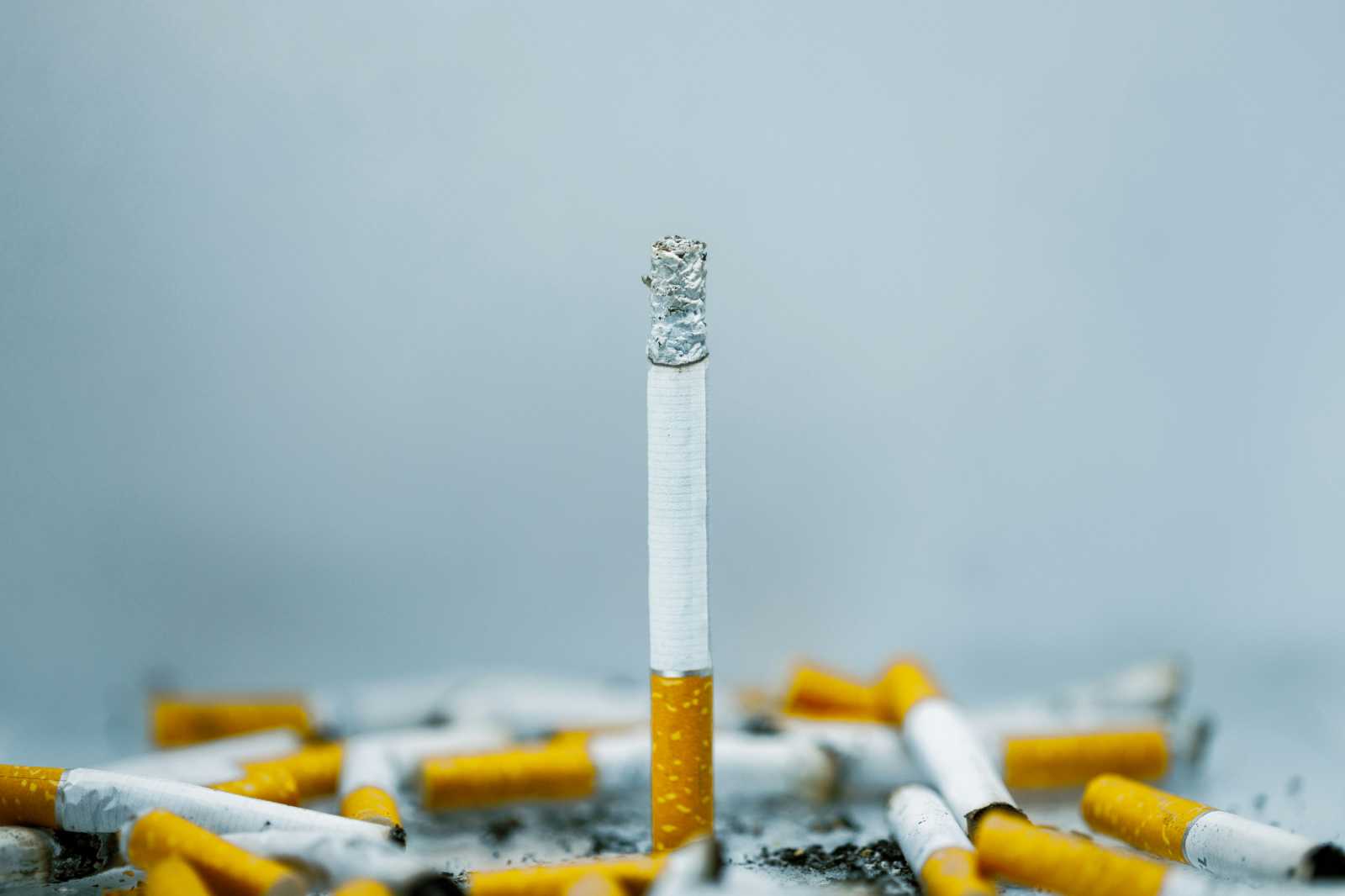 A legtöbb cigaretta szűrős. | Fotó: Unsplash