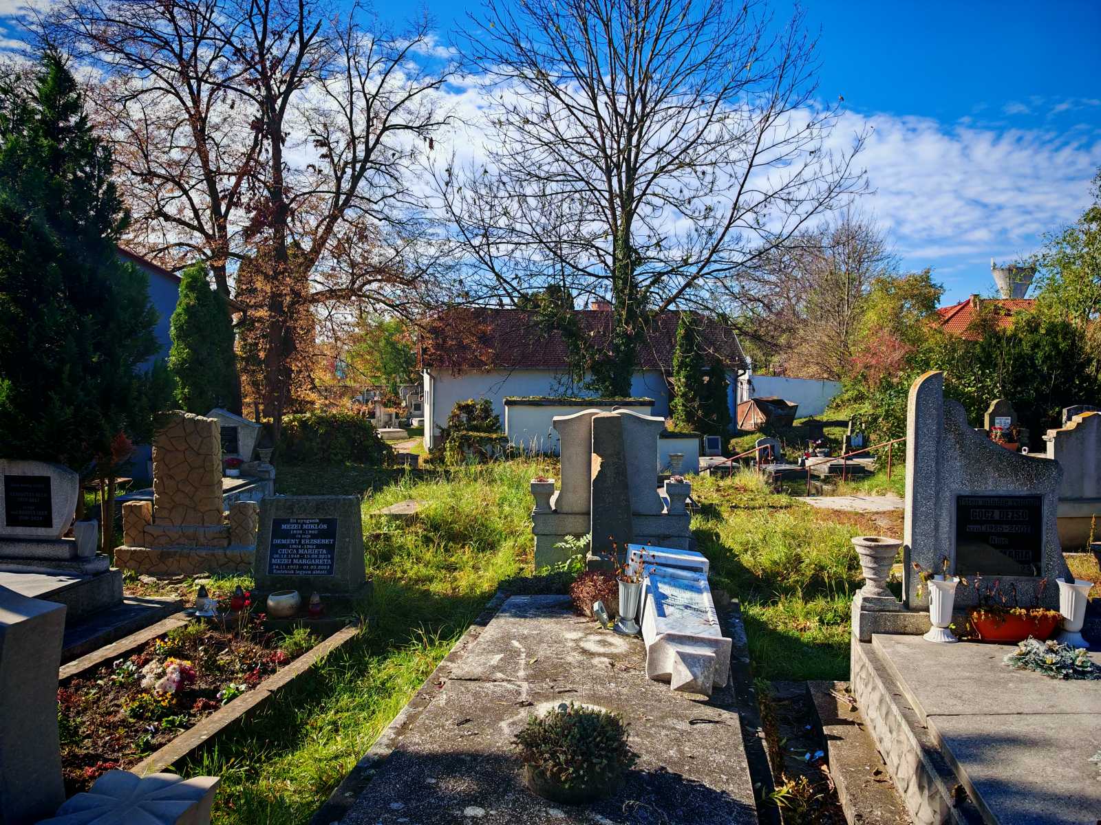 A közösség összefogásra kényszerült. Bizonyítottak  