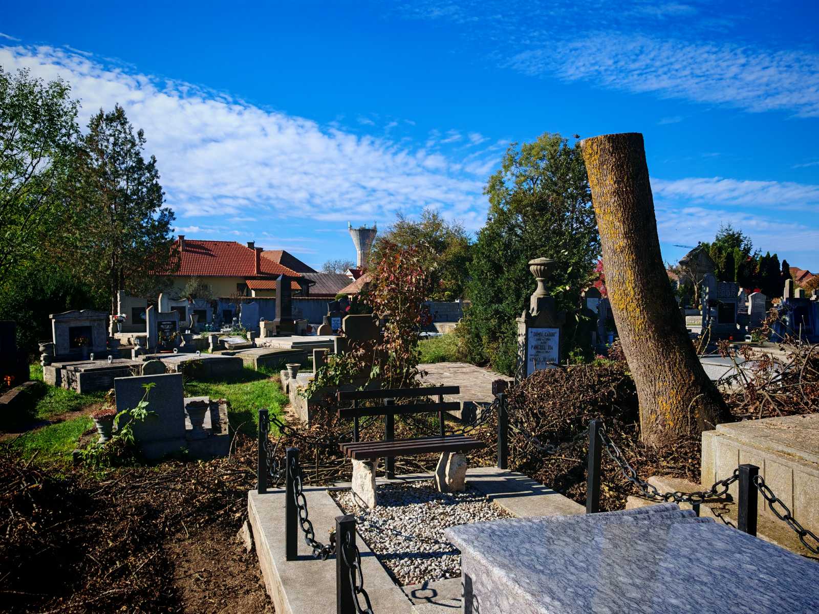 A széldöntés nemcsak a fákban, hanem a sírokban is kárt tett | A szerző felvételei