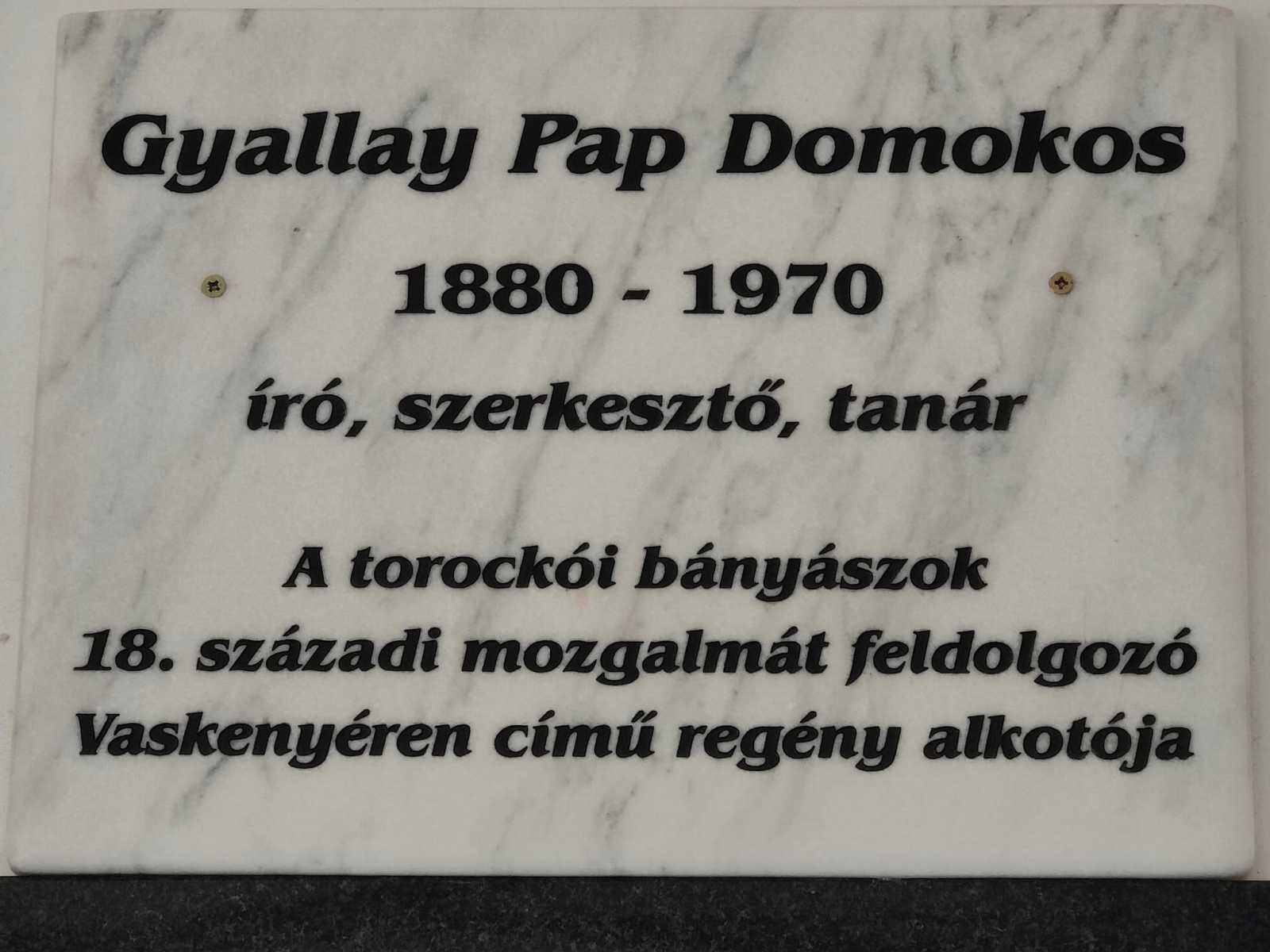A Gyallay Pap Domokosnak állított emléktábla | Fotó: Facebook