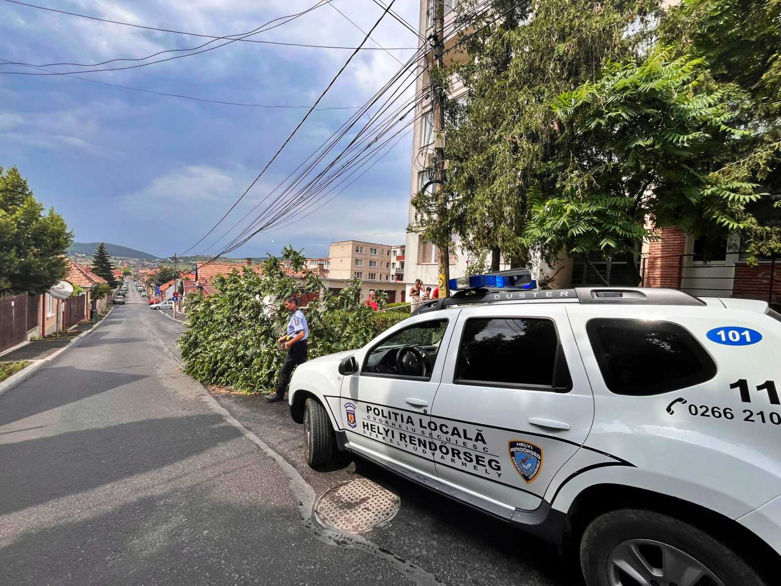 A helyi rendőrség érkezett először a helyszínre. | Fotó: Székelyudvarhelyi Helyi Rendőrség