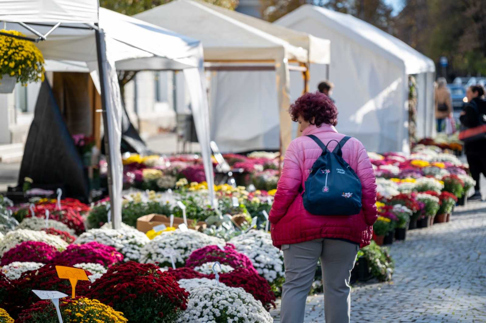 Újdonság, hogy idén nemcsak a központban és a piacon, hanem a temetőnél is lehet virágot vásárolni | Fotó: Vargyasi Levente