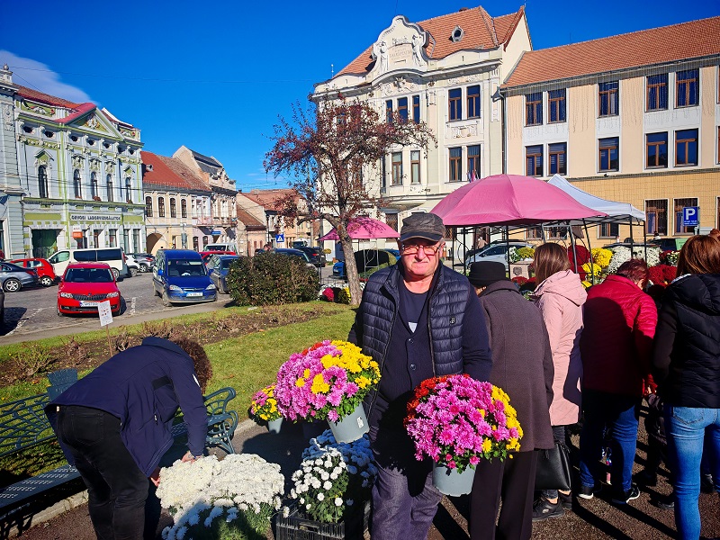 Krizantémok minden színben |  A szerző felvételei