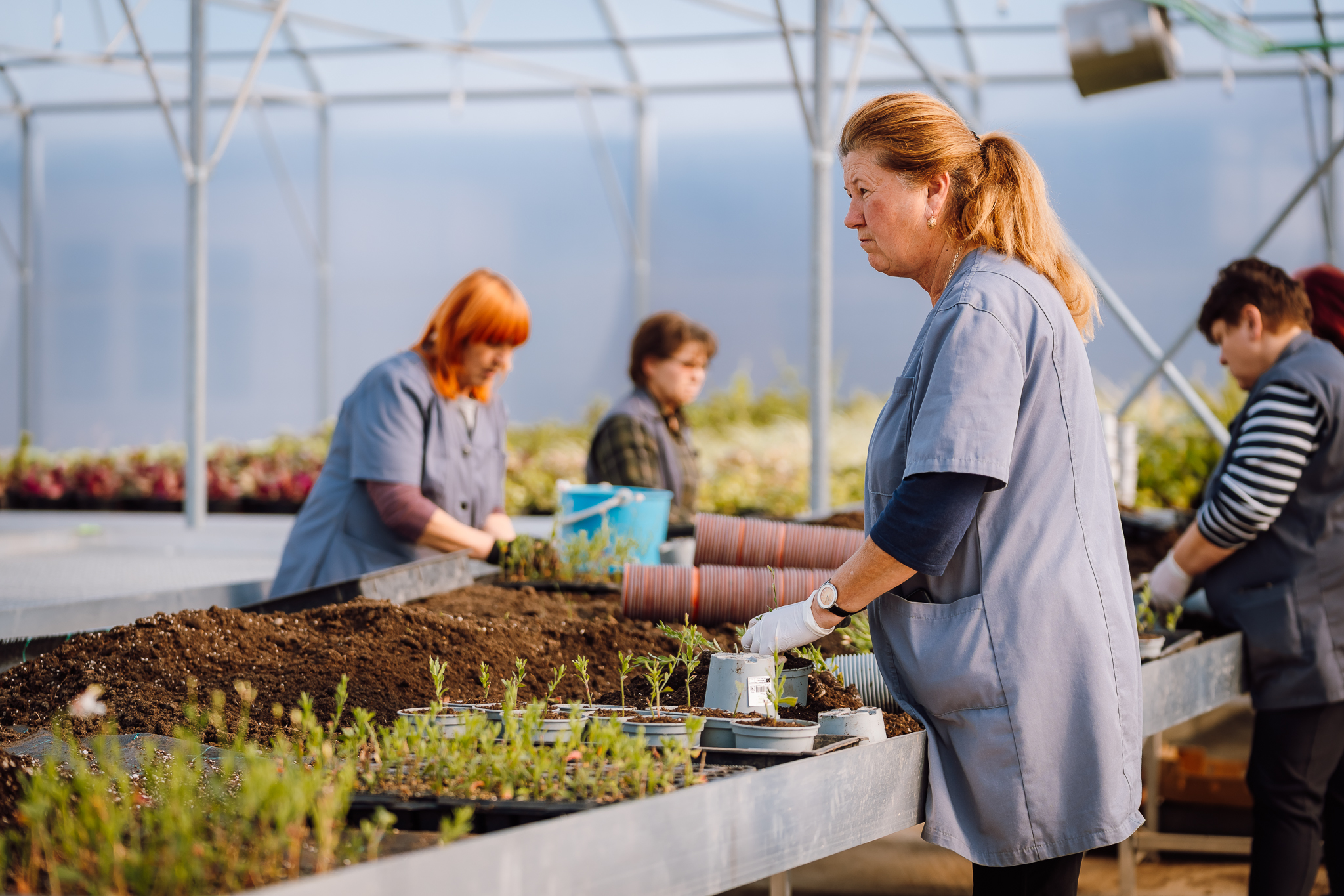 Hetvenen dolgoznak a Városi Kertészetben