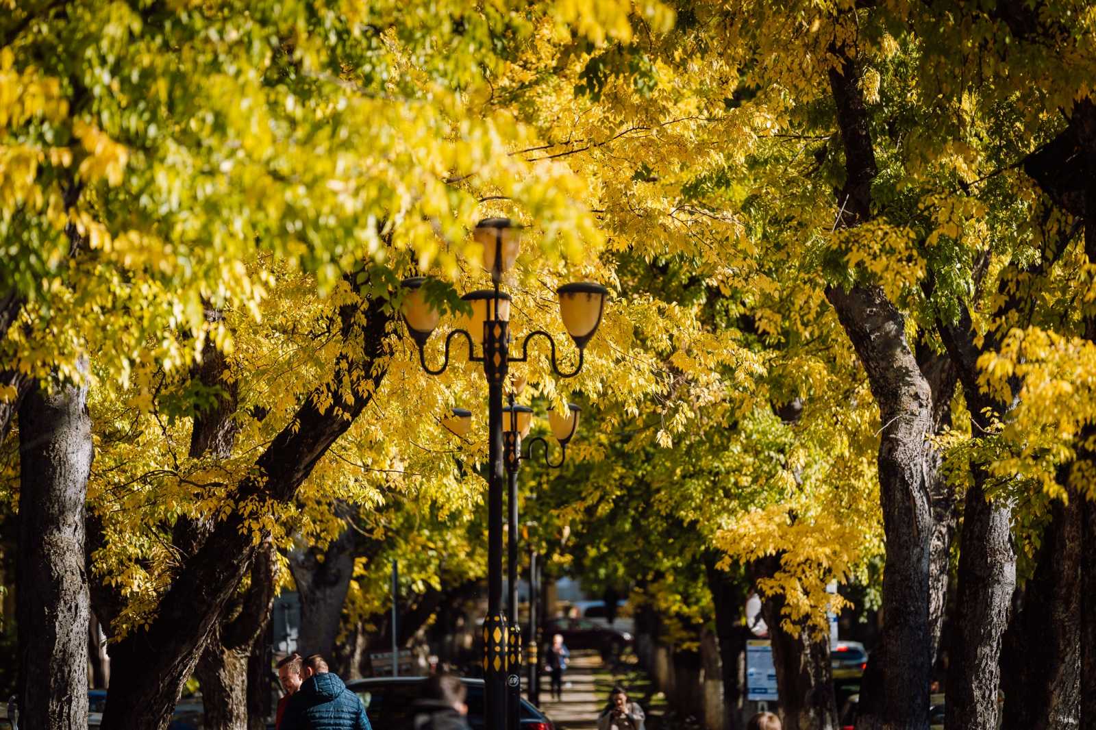 Marosvásárhely Vár sétány | Fotó: Soós Zoltán Facebook oldala 