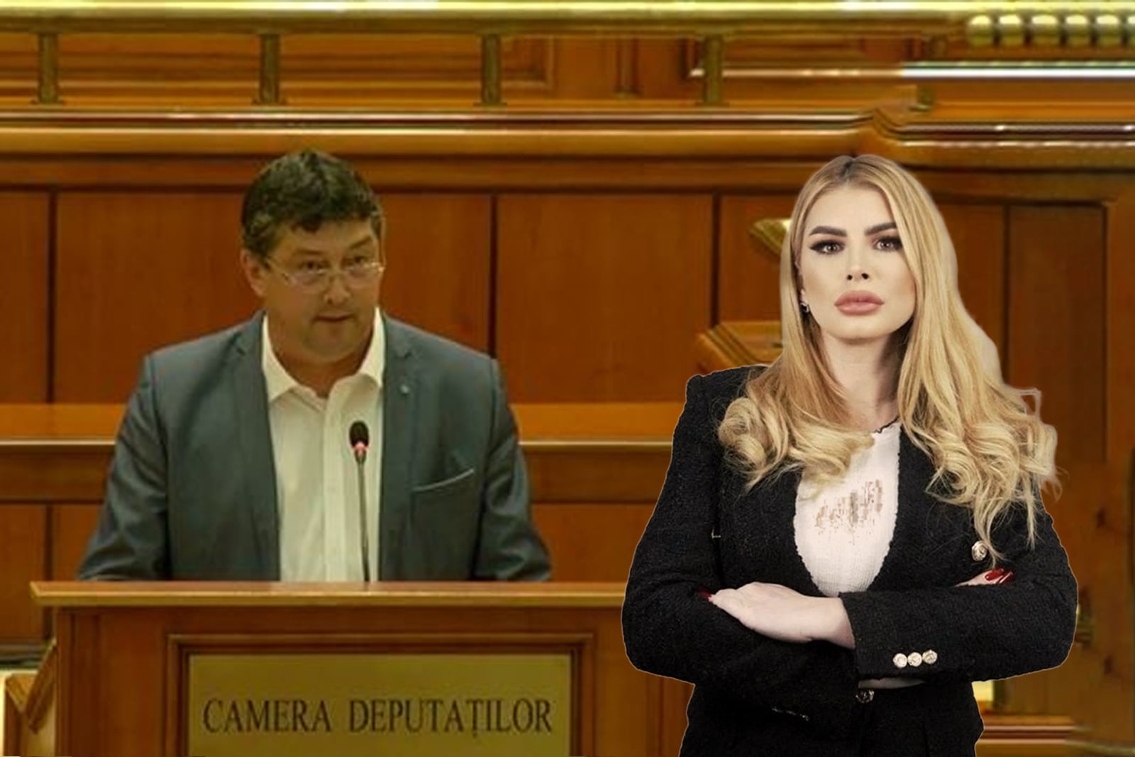 Kulcsár-Terza felszólalása nem tetszett Andra Constantinescunak | Illusztráció: maszol.ro