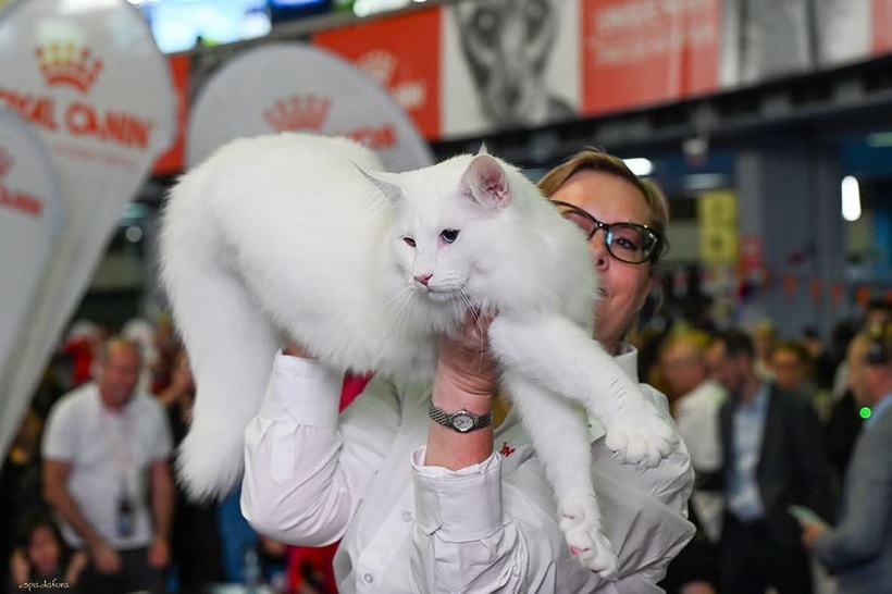 A világbajnok Nordri | Fotók: Felis