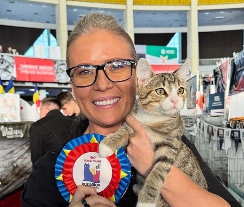 A közönségkedvenc mentett cica