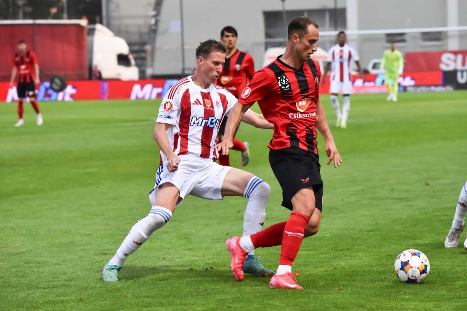 Remek küzdelmet láthatott a csíki közönség. Egy pont lett a jutalma a hazaiaknak. | Fotó: FK Csíkszereda