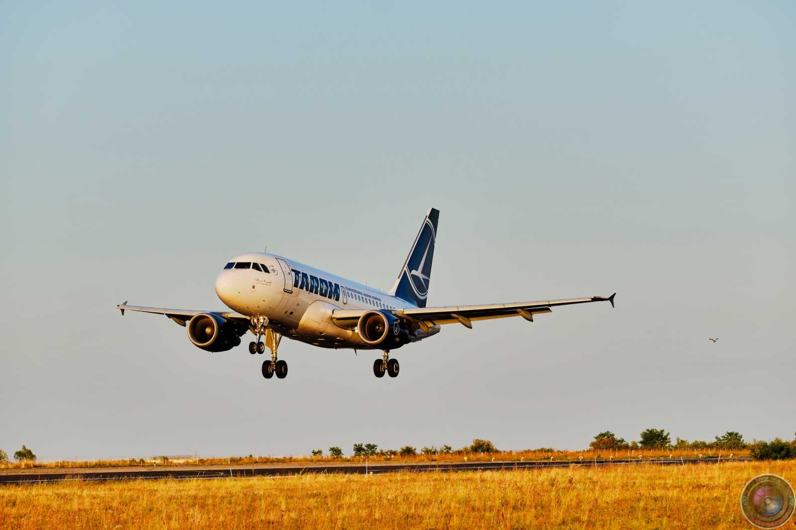 Csak a Tarom négymillió lejt kapott. De nemcsak a Tarom gépeivel utaztak. | Fotó forrása: a Tarom Facebook-oldala