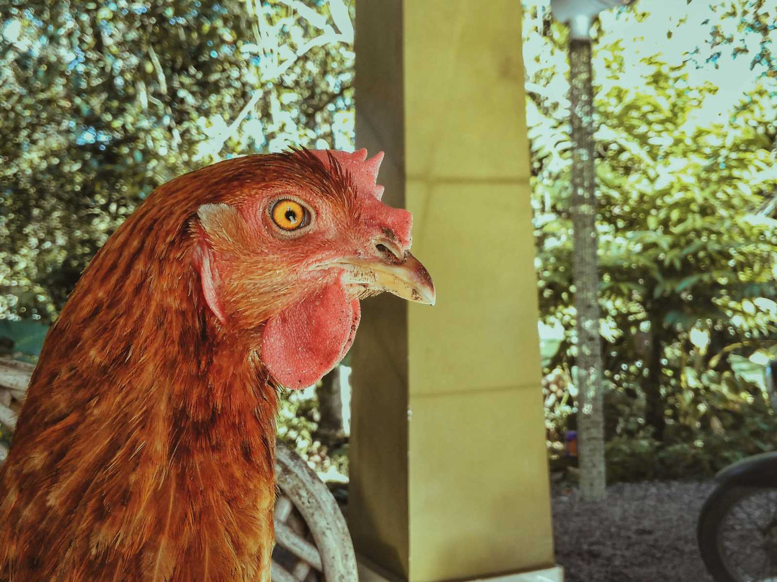 Megsértette a szabályokat | Illusztráció: Pexels