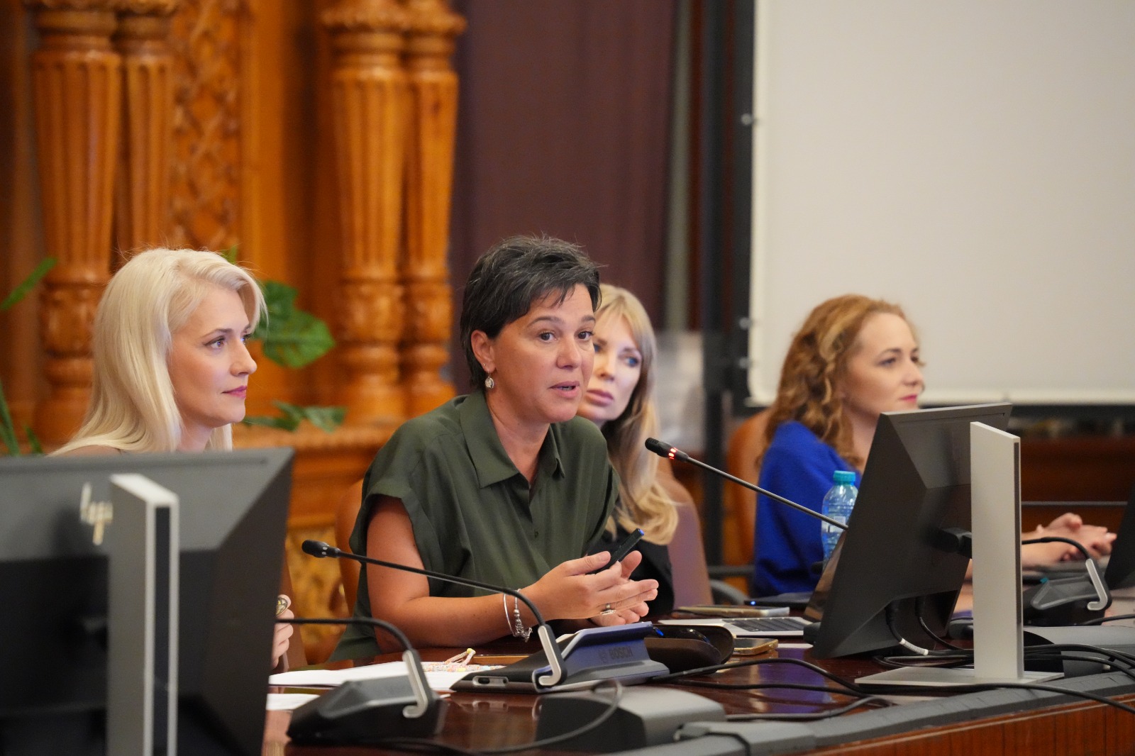 Csép Éva Andrea a parlamenti különbizottság alelnöke | Fotó: Facebook
