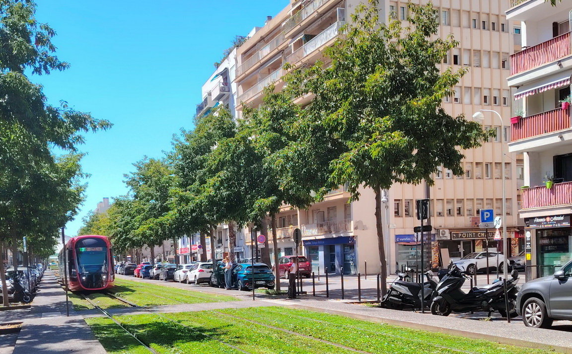 Amikor a villamos is parkban érzi magát | A szerző felvételei