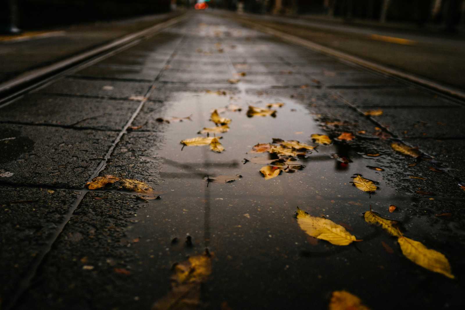 Jönnek a hideg napok | Fotó: Pexels