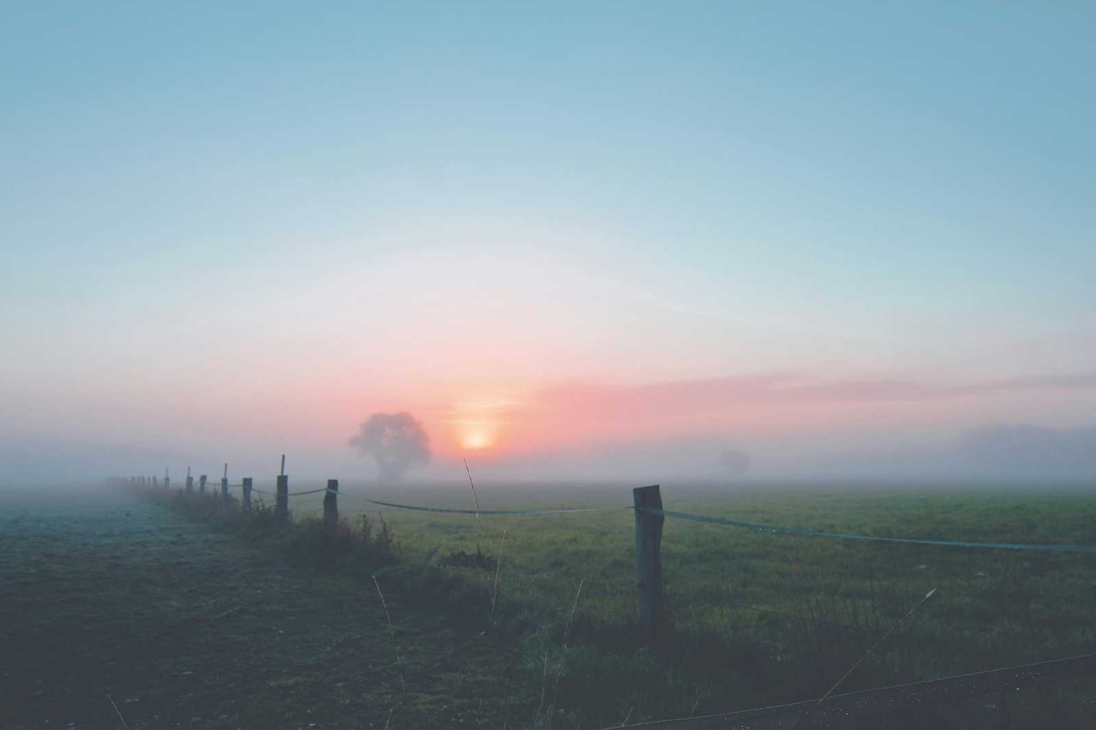 Újabb ködriadó | Fotó: Pexels