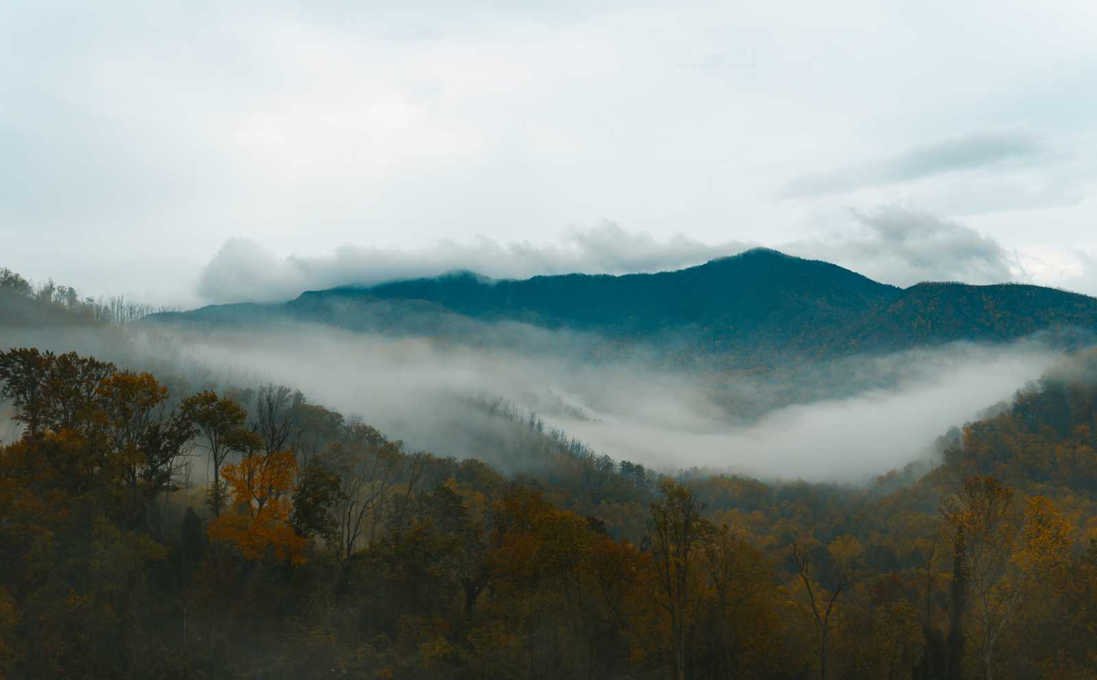 Elérkezett a borongs, hűvös idő | Illusztráció: Unsplash