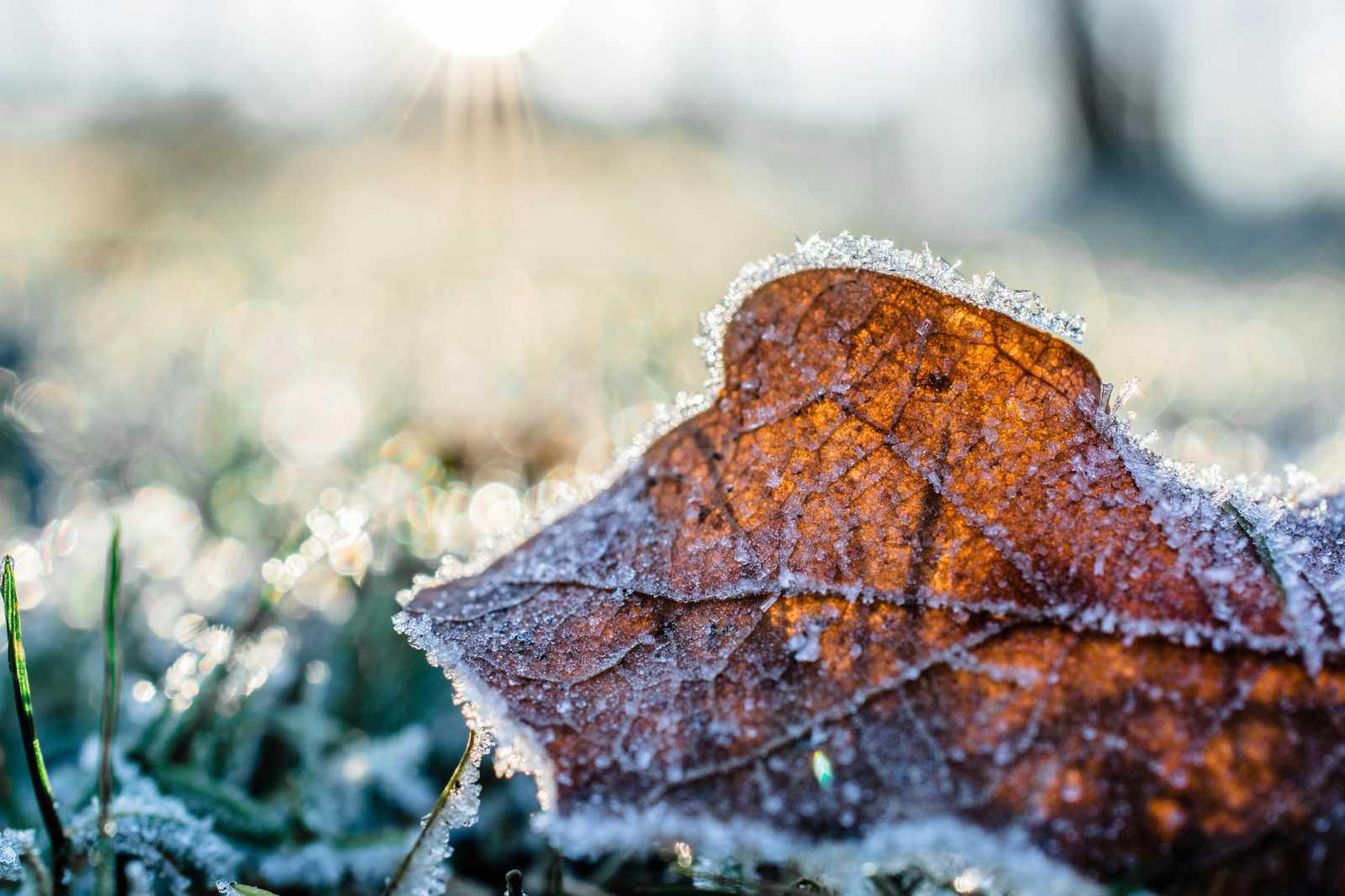 Fogvacogtató időjárás lesz | Fotó: Pexels