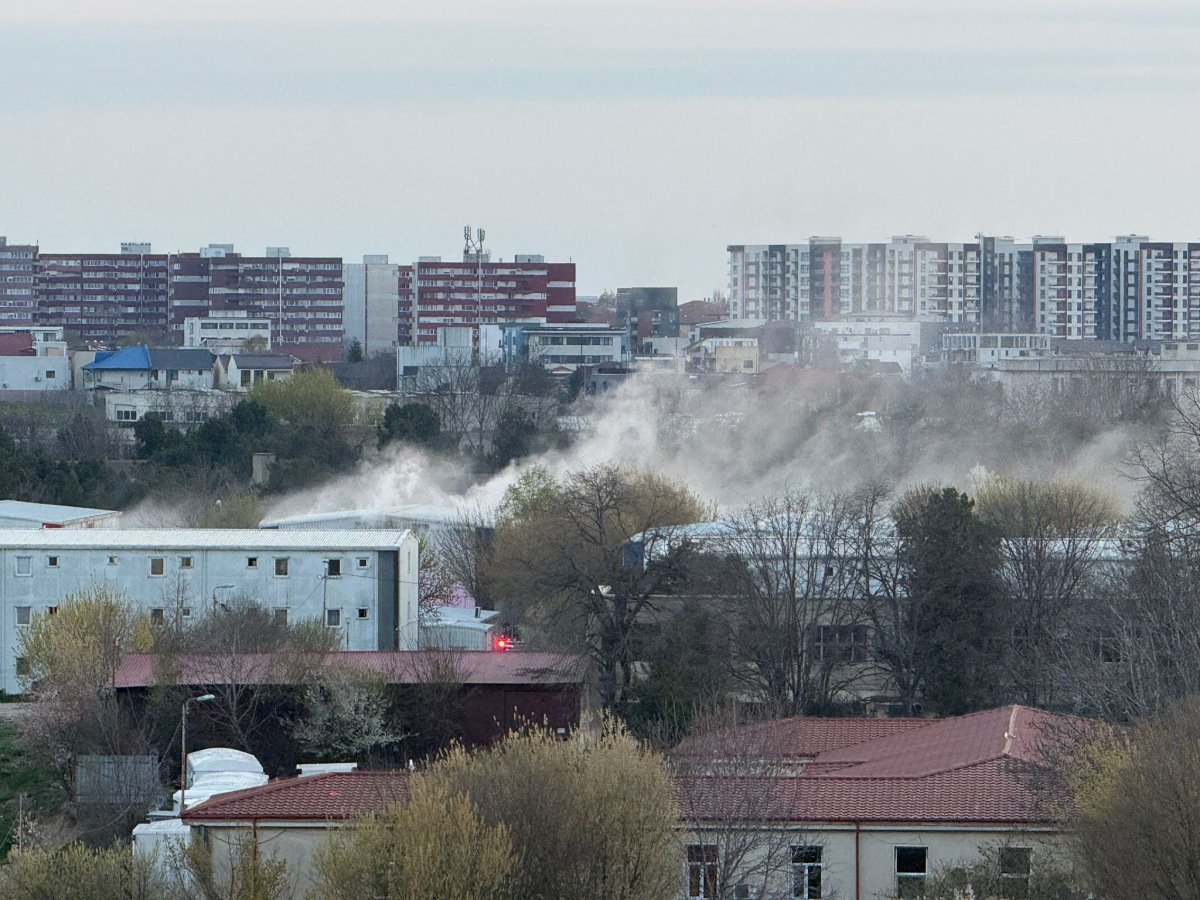 A tüzet végül sikerült eloltaniuk | Fotó: ISU Constanta