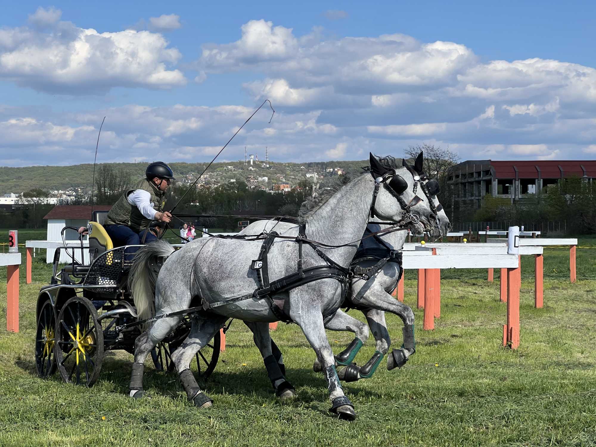 Rákóczi Gergő | Fotó: Maszol