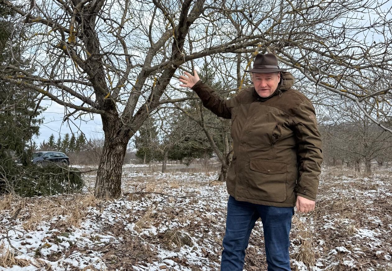 János Ferdinánd farkaslaki ültetvényén | Fotó: Létai Tibor 