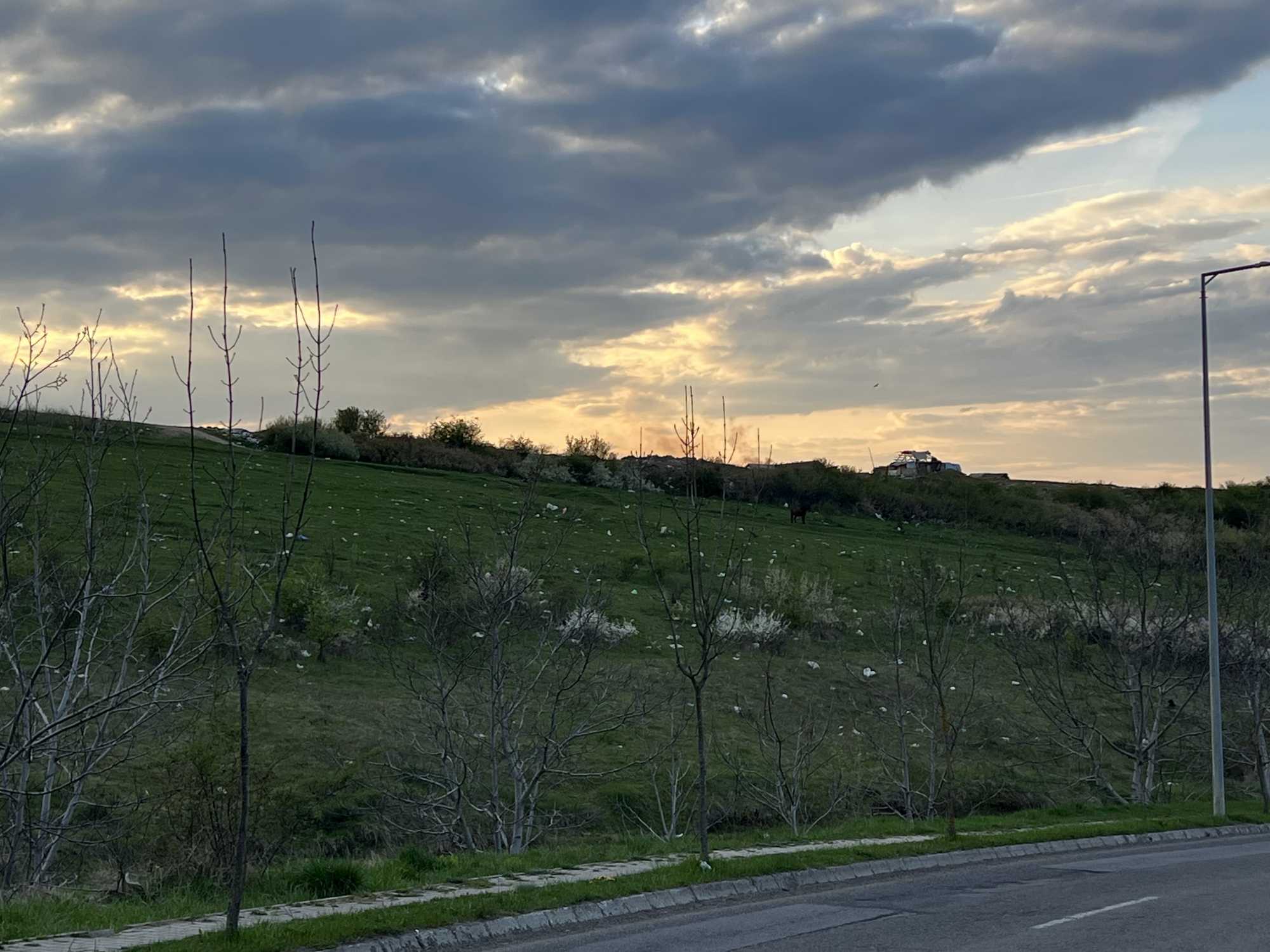 A romatelep lakói a kertvároshoz közeli területen gyűjtik a szemetet| Fotó: Rákóczi Kinga