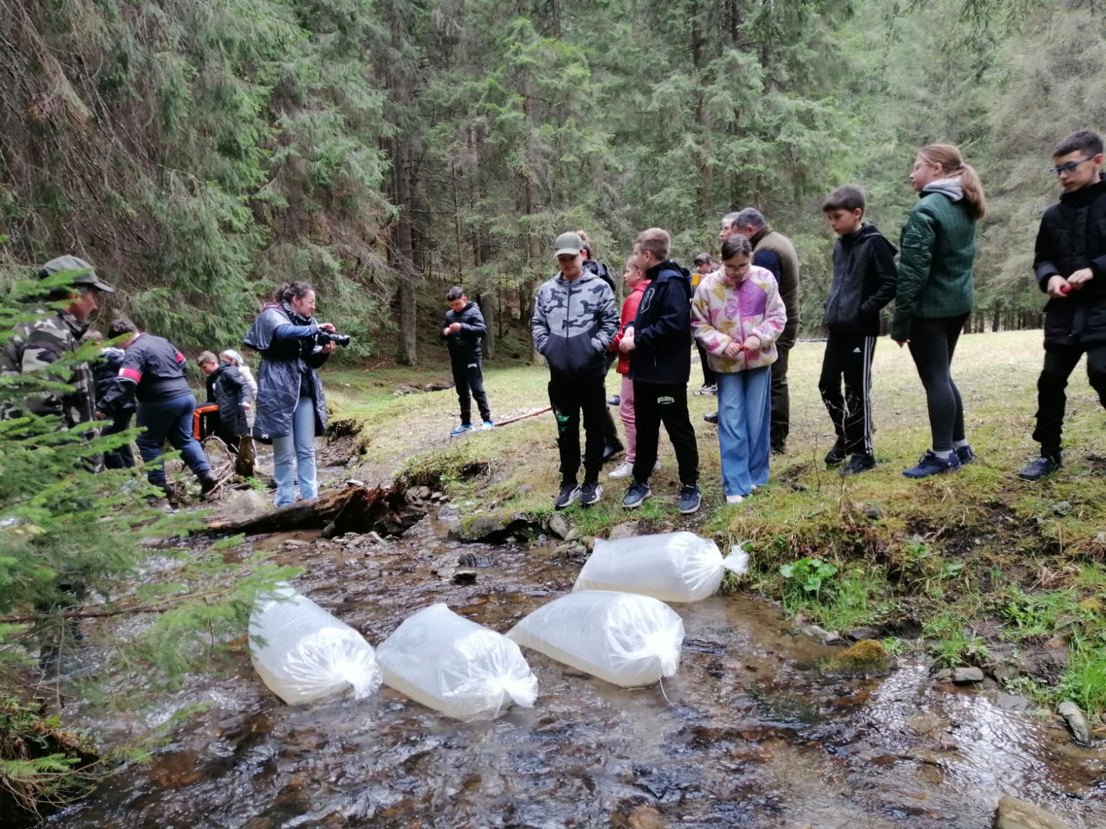 Erdőfülei tenyészetből érkeztek az ivadékok Csomafalvára | Fotó: Létai Tibor