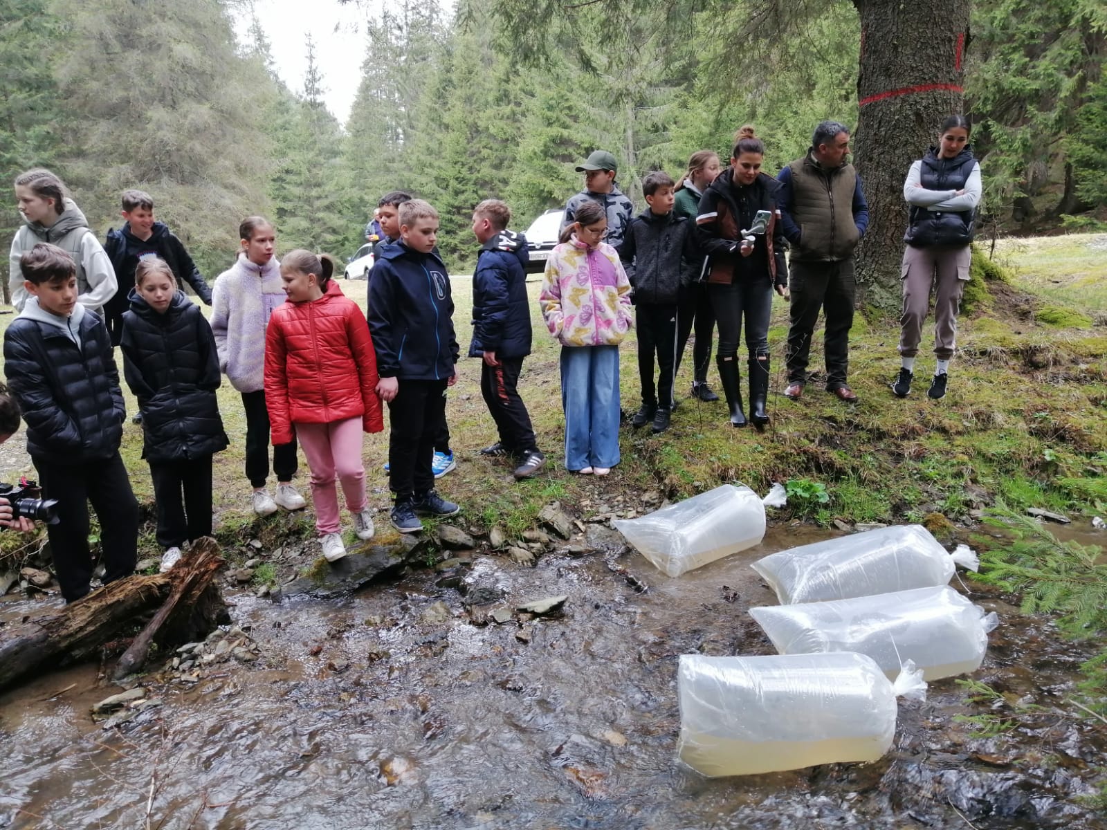 A Kis horgász program keretében telepítették a halakat | Fotó: Létai Tibor