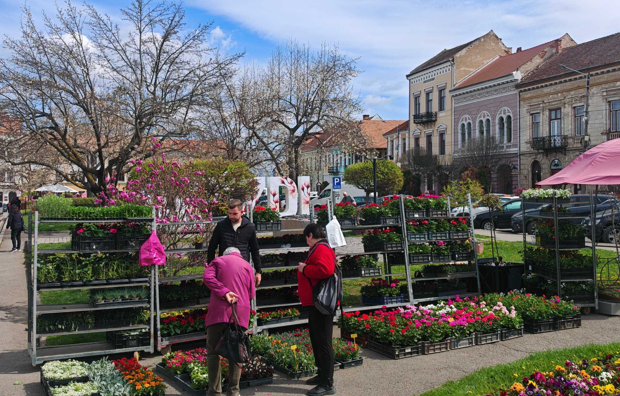 Van választék bőven | A szerző felvételei