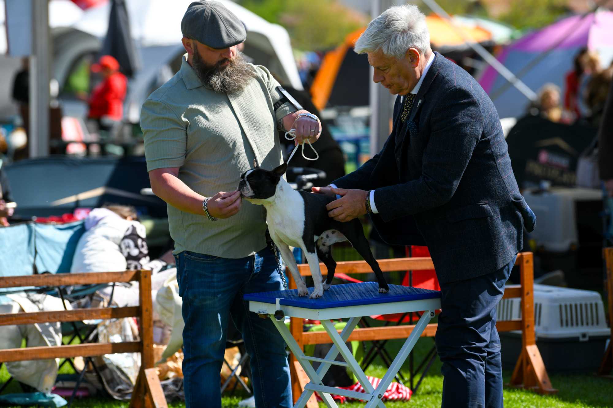 Fotó: Czinzel László