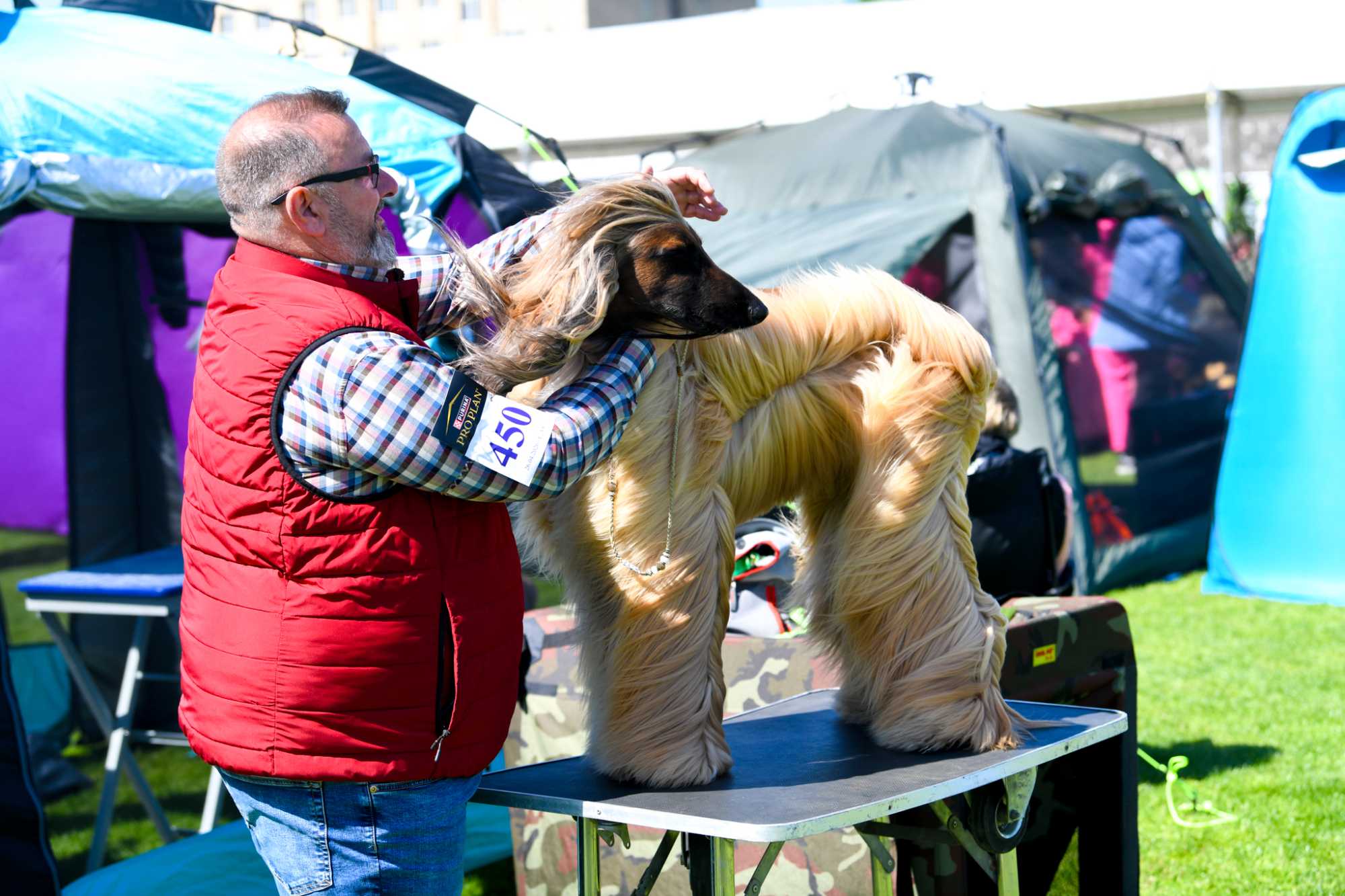 Fotó: Czinzel László