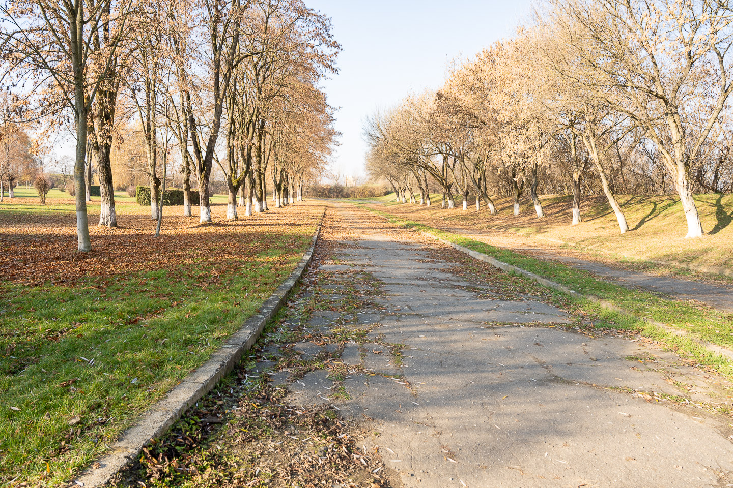 Az egykori Go-kart pálya  | Fotó: Maris Cristian Daniel