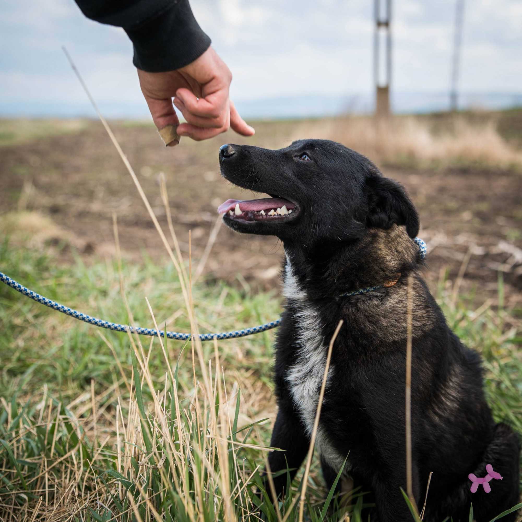 Új, életreszóló kapcsolatok születhetnek | Fotó: Urban Locato