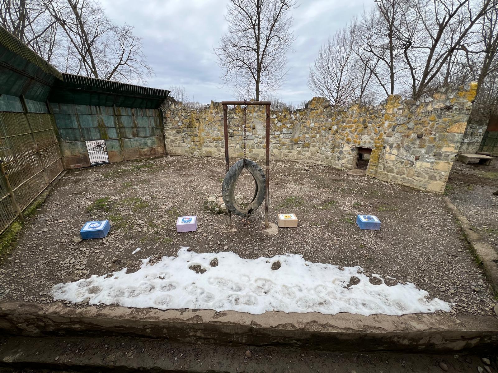 A hópelyhes, napsütéses, felhős és esőt ábrázoló dobozok | Fotó: Rákóczi Kinga