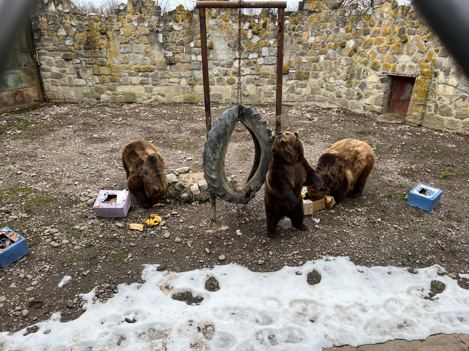 Végül egyik doboz sem maradt érintetlenül | Fotó: Rákóczi Kinga