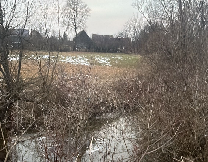 Két kisgyerek fulladt a patakba | Fotó: Szeben Megyei Rendőrség
