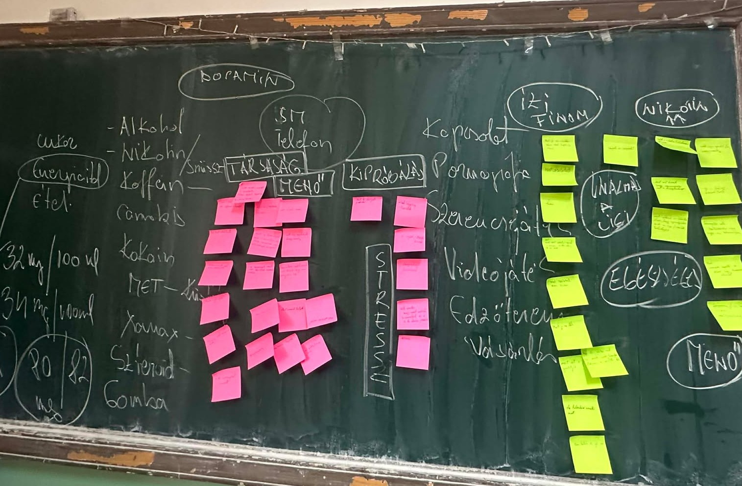 Az eészség menő! Civilek a függőségek ellen. | Fotó: Gyerekeinkért Mozgalom