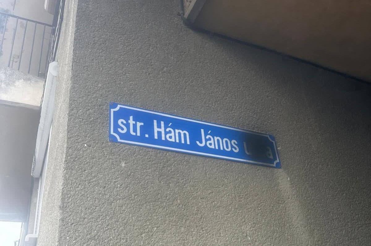 Lefestették | Fotó: Szatmári RMDSZ/Facebook