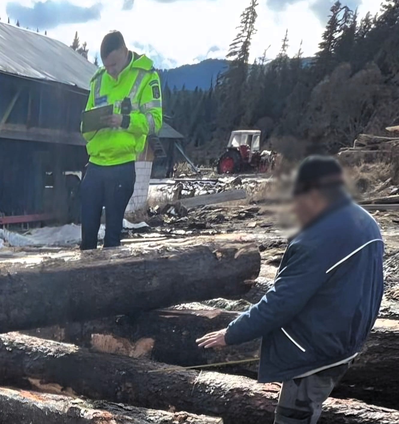 Az illető nem tudta igazolni a fa eredetét | Fotó: Hargita Megyei Rendőr-főkapitányság