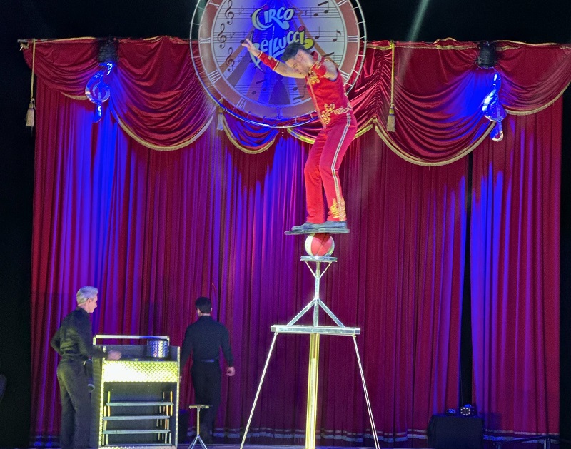 Az előadás során zuhant le az akrobata | Illusztráció: CircoBellucci Facebook oldala